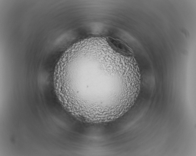 X0000114000272200910161716