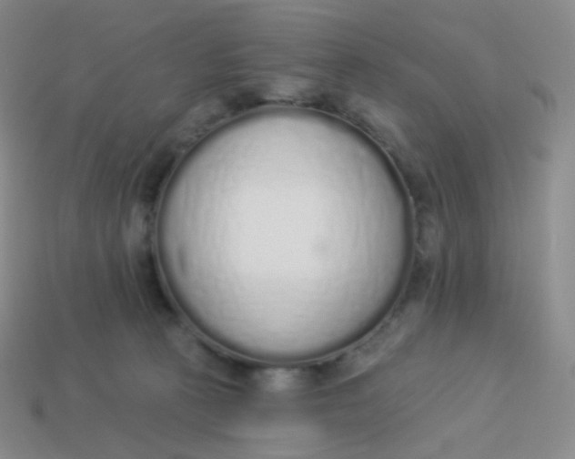 X0000114000273200910161716