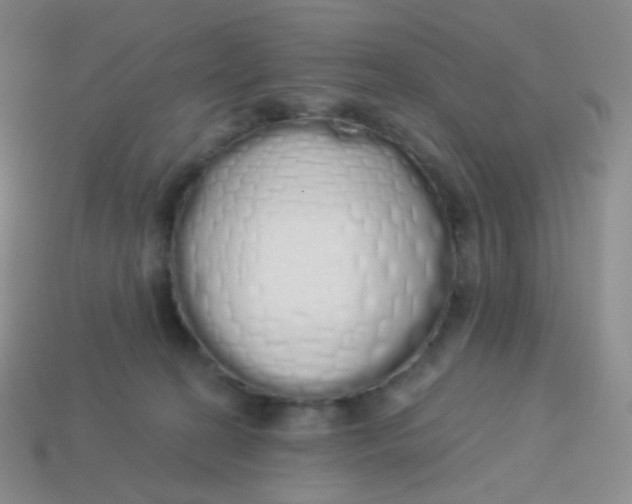 X0000114000274200910161716