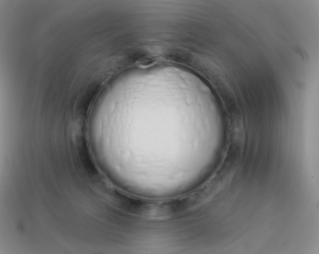 X0000114000275200910161716