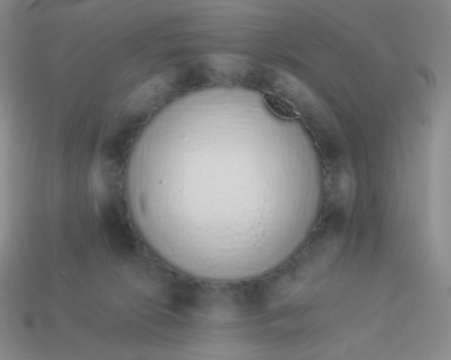 X0000114000276200910161716