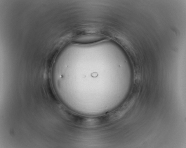 X0000114000277200910161716