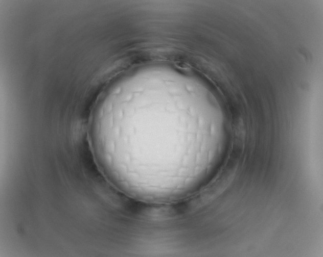 X0000114000278200910161716