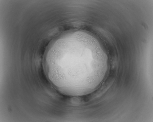 X0000114000279200910161716