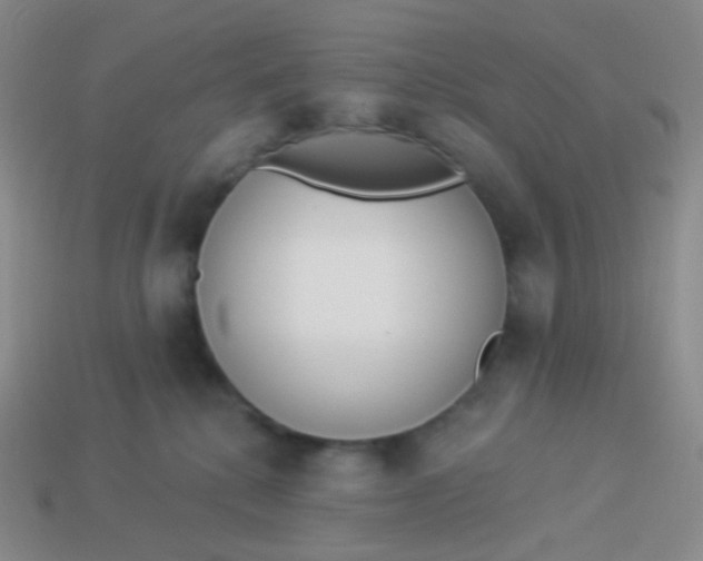 X0000114000280200910161716