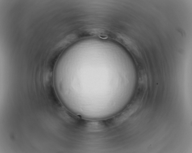 X0000114000281200910161716