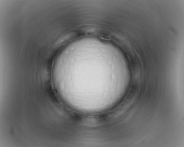 X0000114000282200910161716