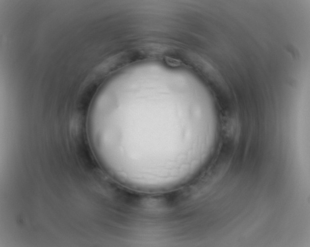 X0000114000283200910161716