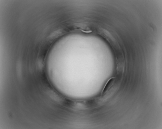 X0000114000285200910161716