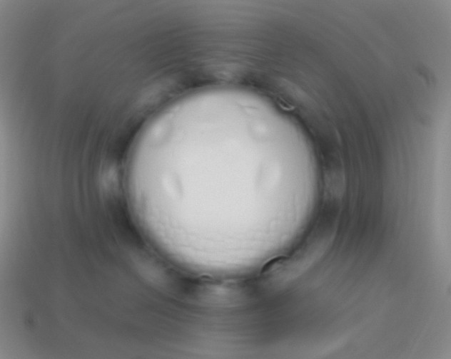 X0000114000286200910161716
