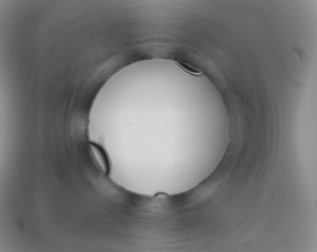 X0000114000288200910161716