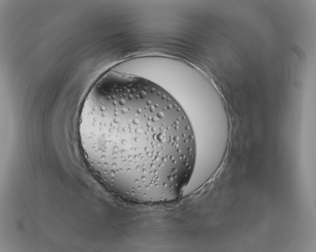 X0000114000289200910161715