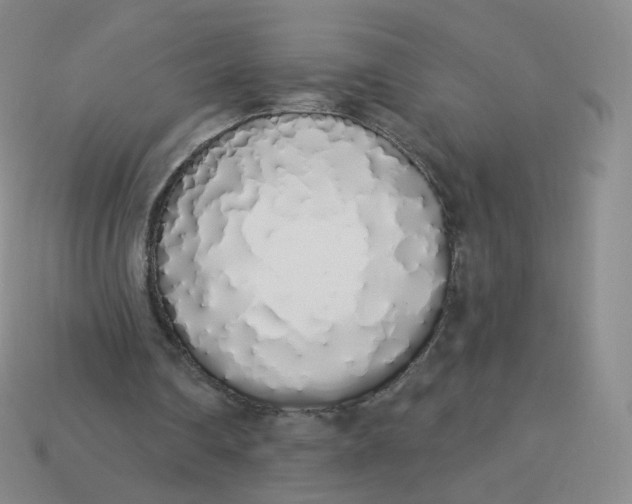 X0000114000290200910161715