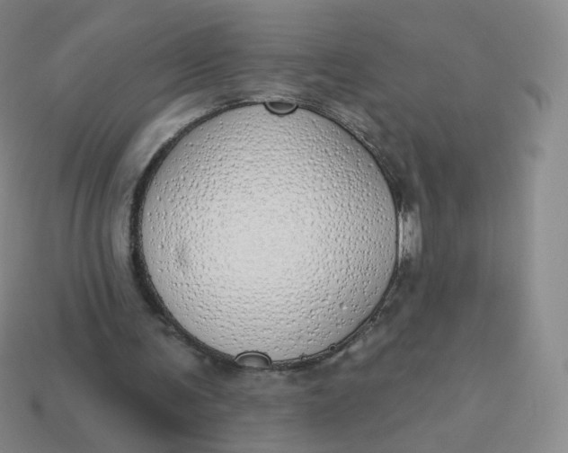 X0000114000291200910161715