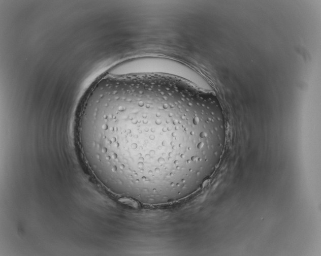 X0000114000292200910161715