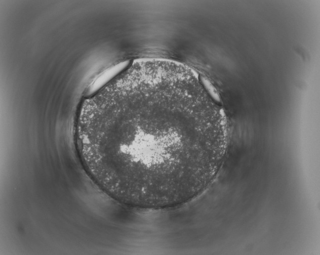 X0000114000293200910161715