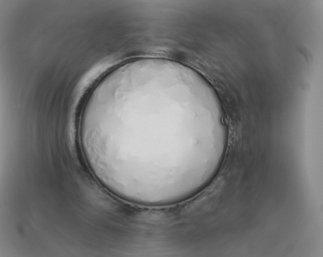 X0000114000294200910161715