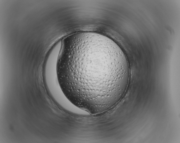 X0000114000297200910161715