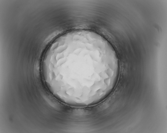 X0000114000298200910161715