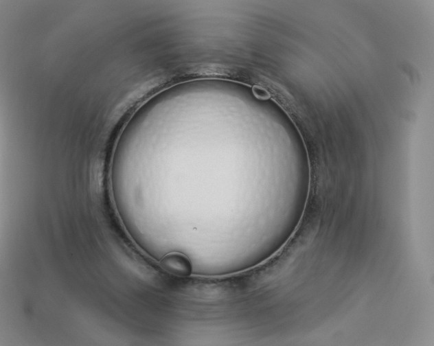 X0000114000299200910161715