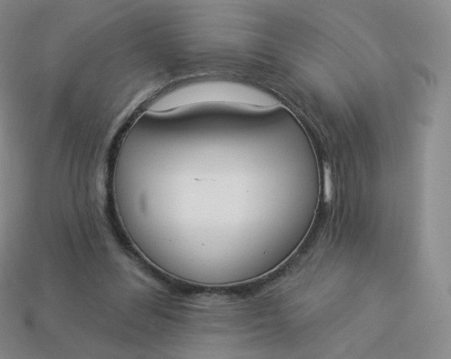 X0000114000300200910161715