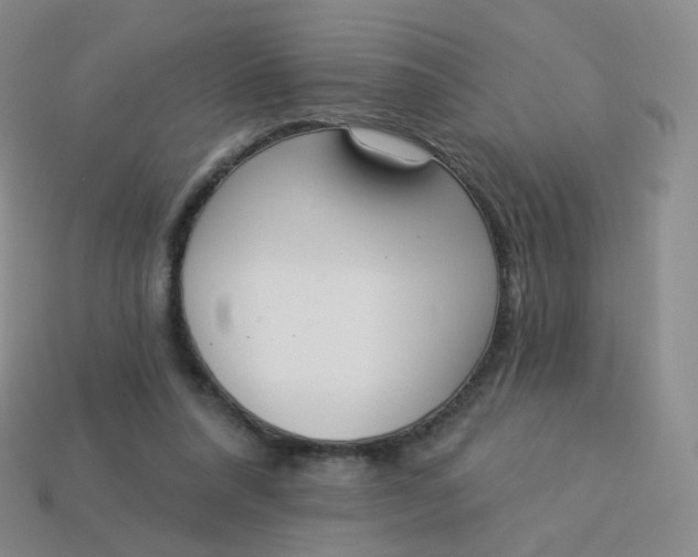 X0000114000304200910161715
