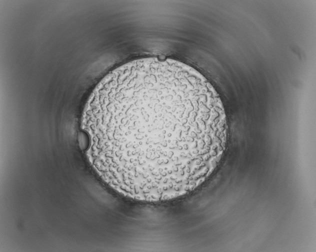 X0000114000305200910161715