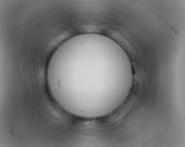 X0000114000306200910161715