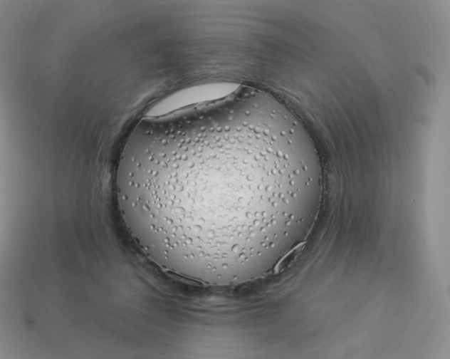 X0000114000308200910161715