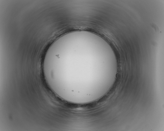 X0000114000312200910161715