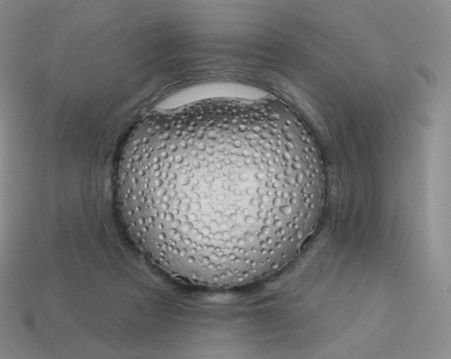 X0000114000313200910161715