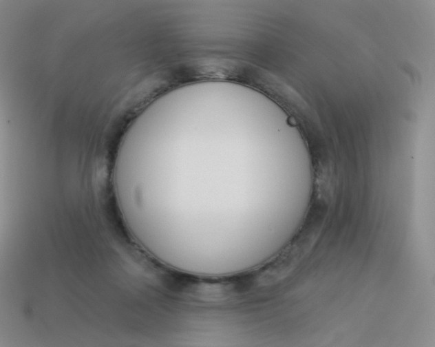 X0000114000314200910161715