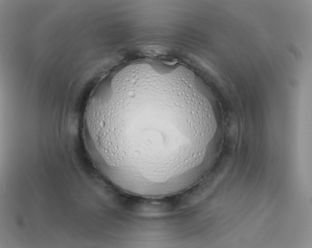 X0000114000315200910161715