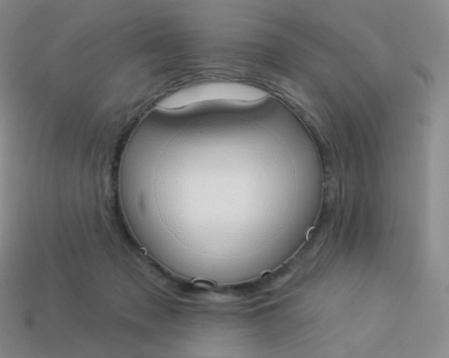 X0000114000317200910161715