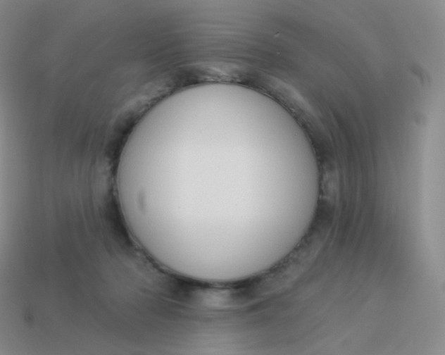 X0000114000318200910161715