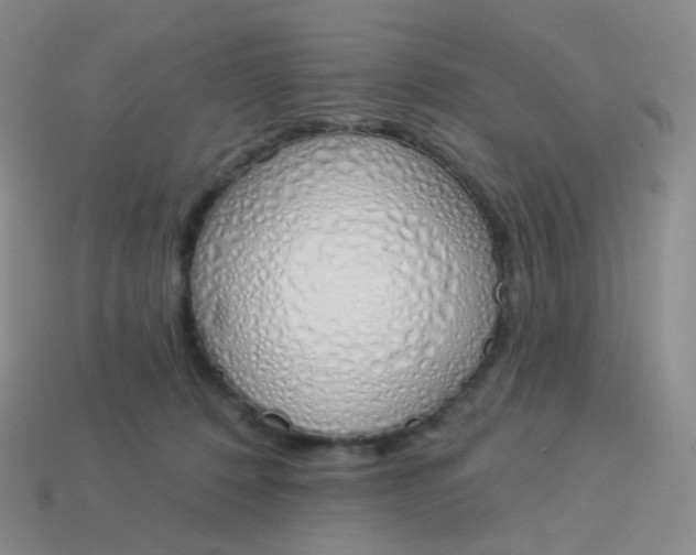 X0000114000320200910161715