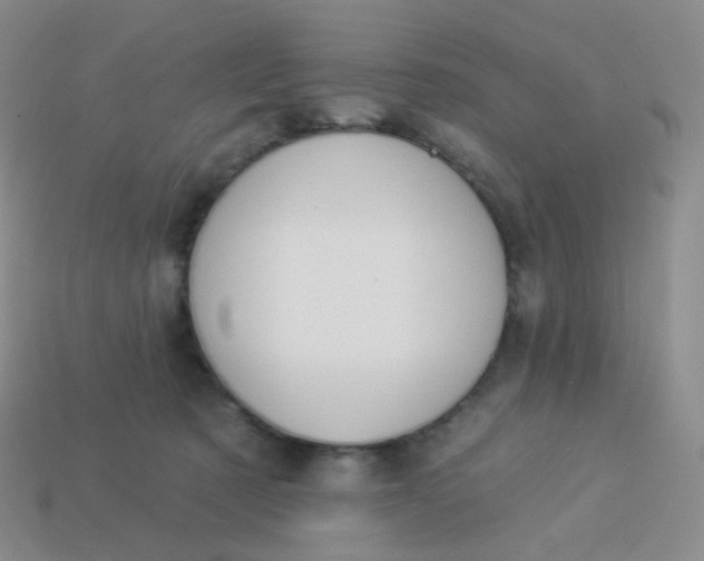 X0000114000321200910161715