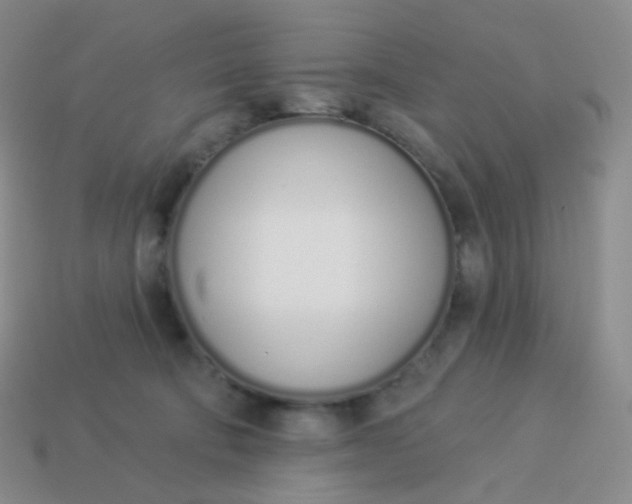X0000114000322200910161715