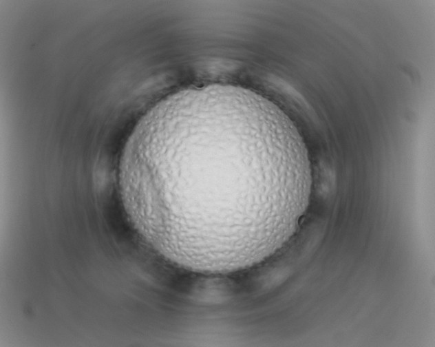 X0000114000324200910161715
