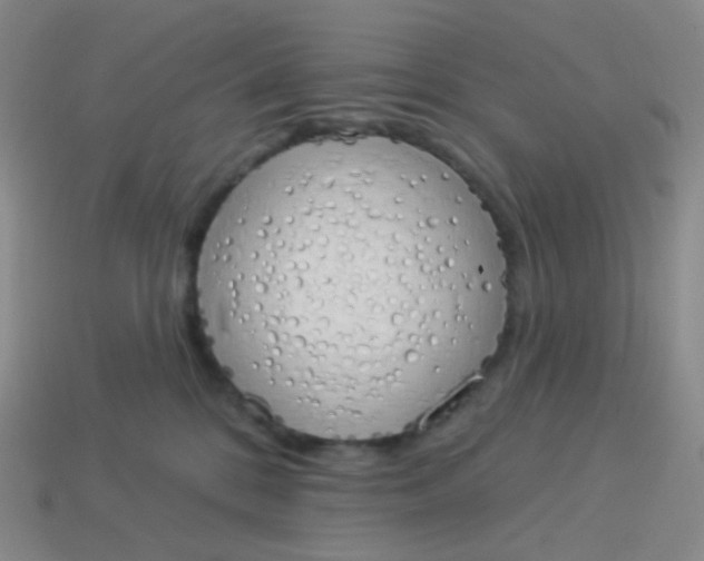 X0000114000328200910161715