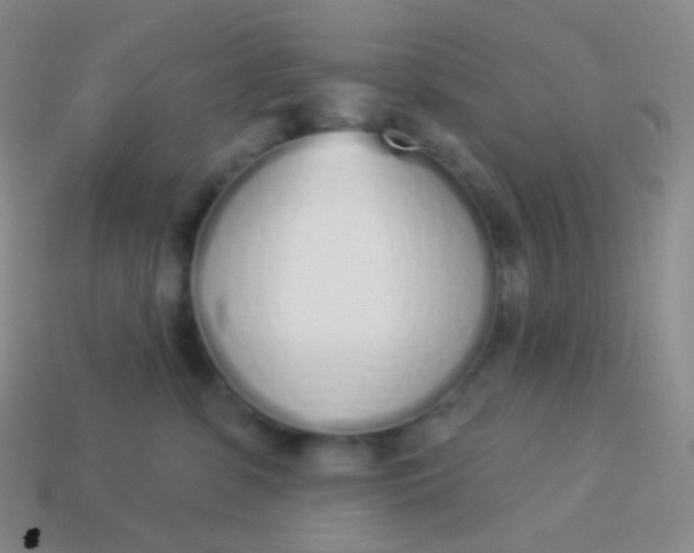 X0000114000331200910161715