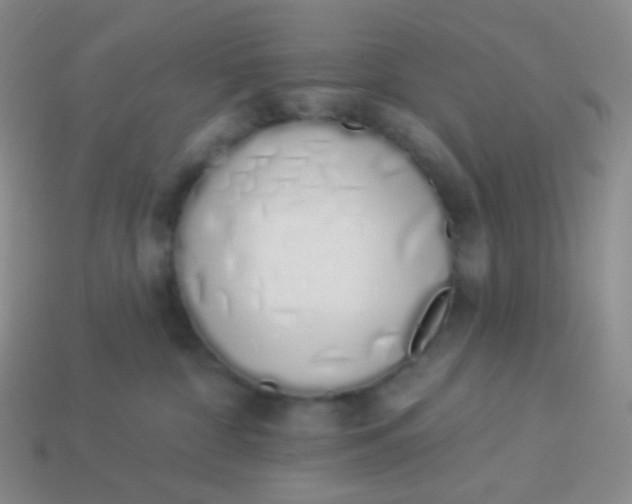 X0000114000332200910161715
