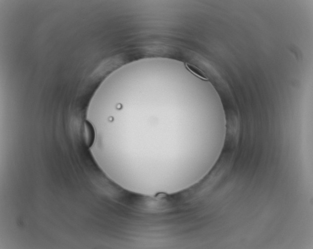 X0000114000333200910161715
