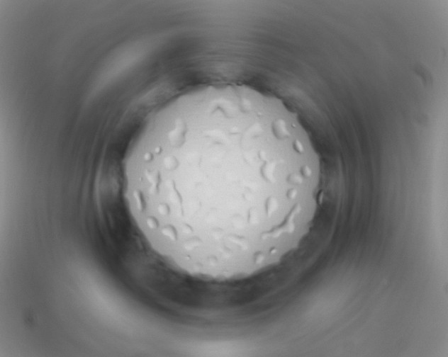 X0000114000334200910161715