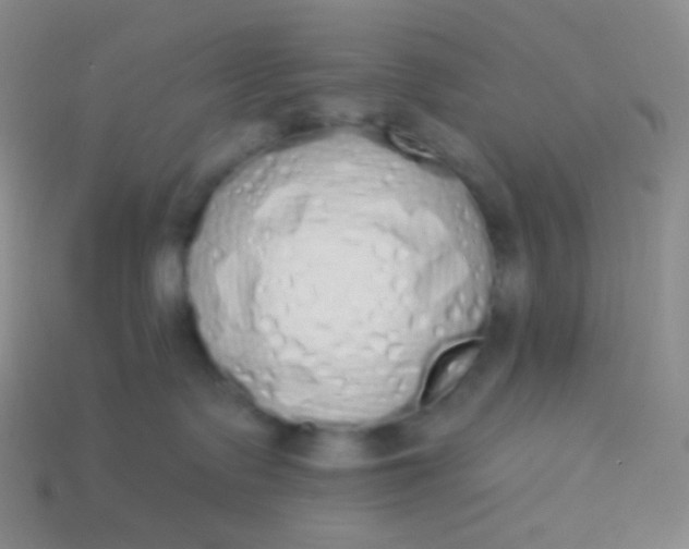 X0000114000335200910161715