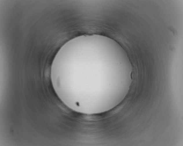 X0000114000336200910161715