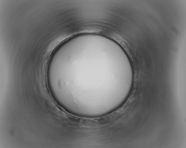 X0000114000337200910161714