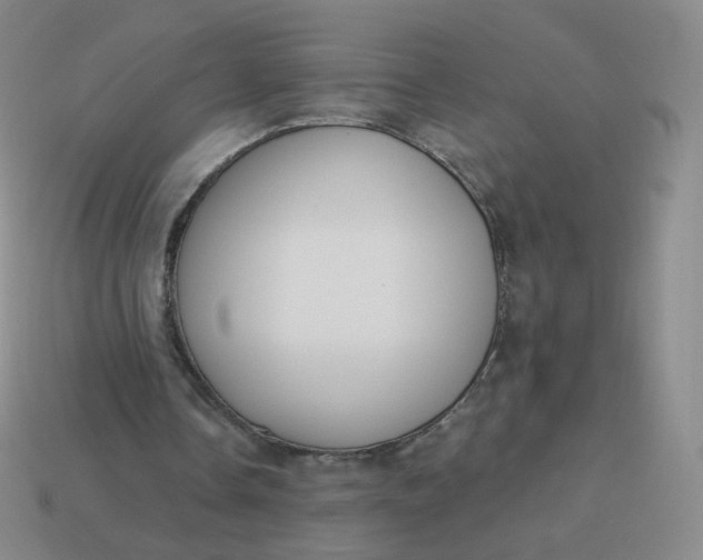 X0000114000338200910161714
