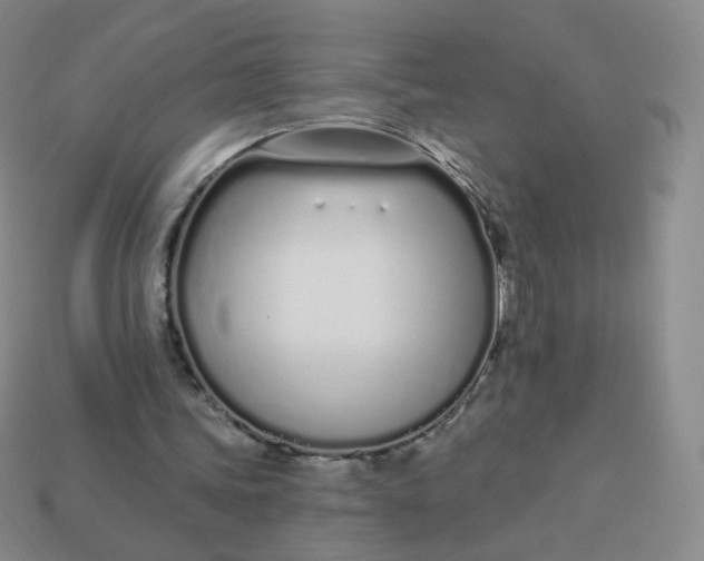 X0000114000339200910161714