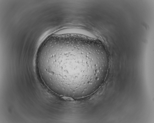 X0000114000340200910161714